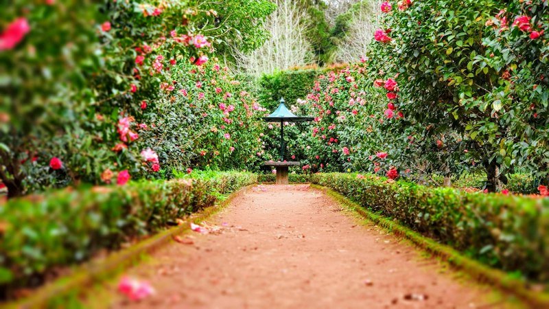Hogar y jardín